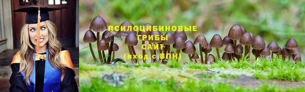 2c-b Магадан