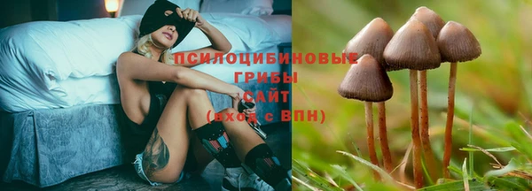 дистиллят марихуана Медногорск