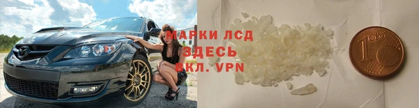 молекула духа Медвежьегорск