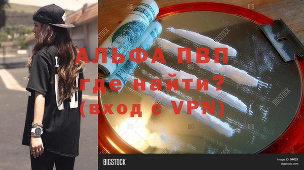 молекула духа Медвежьегорск