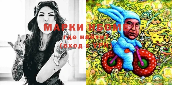 молекула духа Медвежьегорск