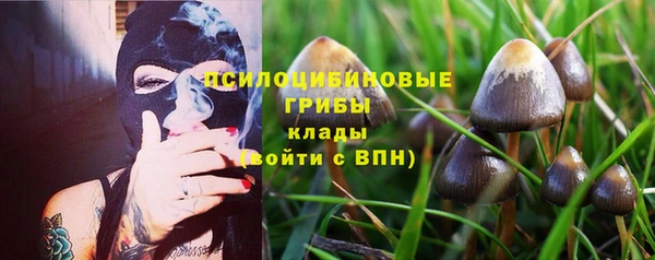 молекула духа Медвежьегорск