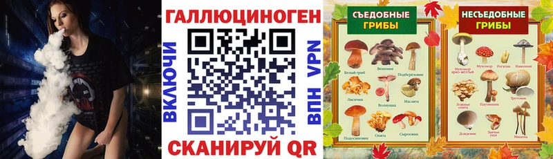 сколько стоит  Хилок  Галлюциногенные грибы Psilocybine cubensis 