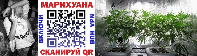 ссылка на мегу ТОР  Хилок  Бошки Шишки OG Kush 